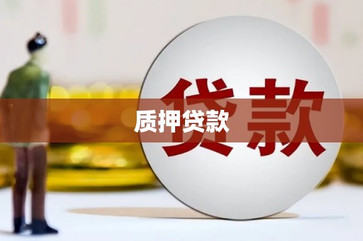泗县质押贷款
