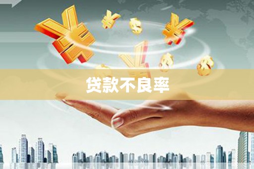 泗县贷款不良率