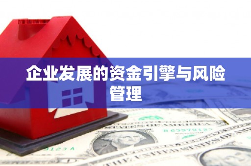泗县企业发展的资金引擎与风险管理