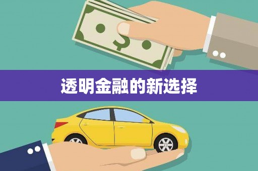 泗县透明金融的新选择