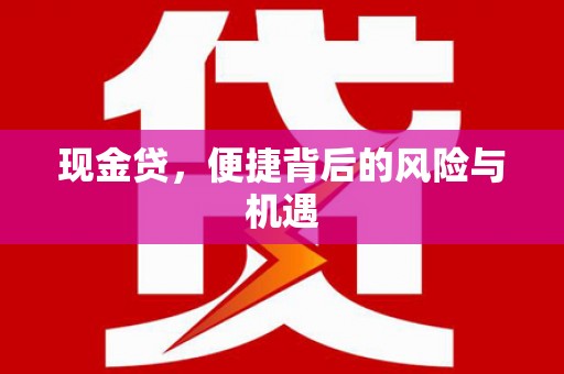泗县现金贷，便捷背后的风险与机遇
