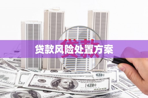 泗县贷款风险处置方案