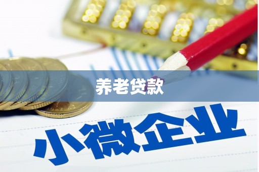 泗县养老贷款