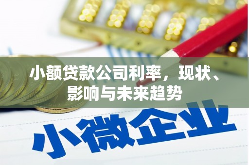 泗县小额贷款公司利率，现状、影响与未来趋势