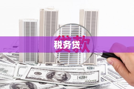 泗县税务贷