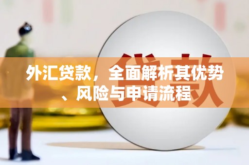 泗县外汇贷款，全面解析其优势、风险与申请流程