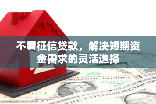 泗县不看征信贷款，解决短期资金需求的灵活选择