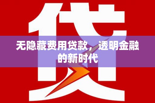 泗县无隐藏费用贷款，透明金融的新时代