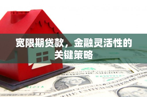 泗县宽限期贷款，金融灵活性的关键策略