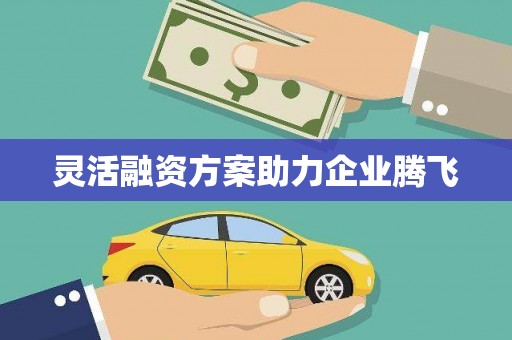 泗县灵活融资方案助力企业腾飞
