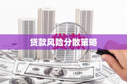 泗县贷款风险分散策略