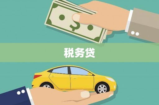 泗县税务贷