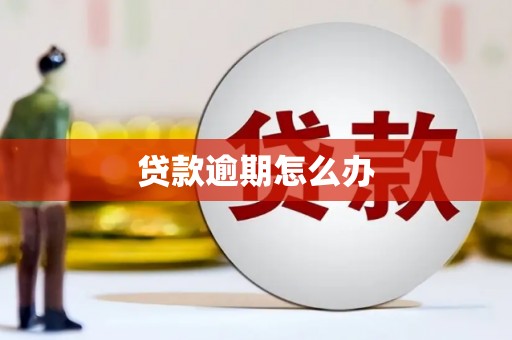 泗县贷款逾期怎么办