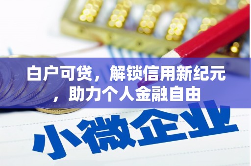 泗县白户可贷，解锁信用新纪元，助力个人金融自由