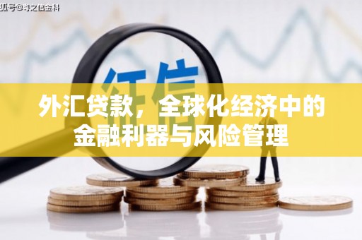 泗县外汇贷款，全球化经济中的金融利器与风险管理