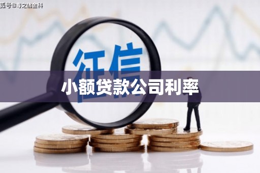 泗县小额贷款公司利率