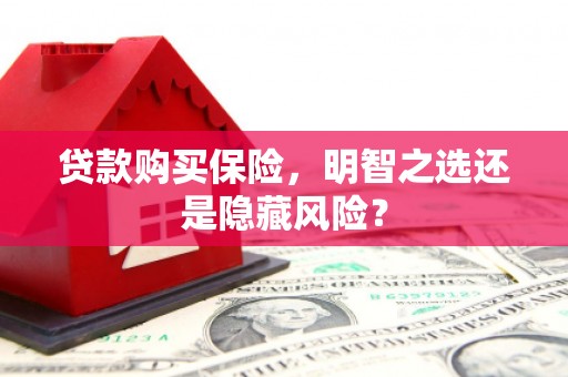 泗县贷款购买保险，明智之选还是隐藏风险？