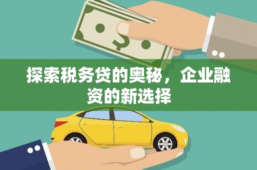 泗县探索税务贷的奥秘，企业融资的新选择