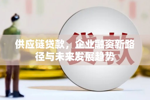 泗县供应链贷款，企业融资新路径与未来发展趋势