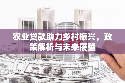 泗县农业贷款助力乡村振兴，政策解析与未来展望
