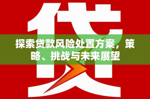 泗县探索贷款风险处置方案，策略、挑战与未来展望