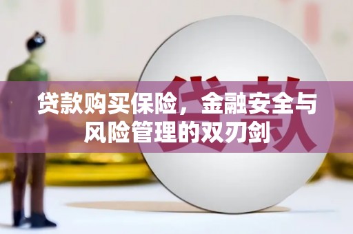 泗县贷款购买保险，金融安全与风险管理的双刃剑