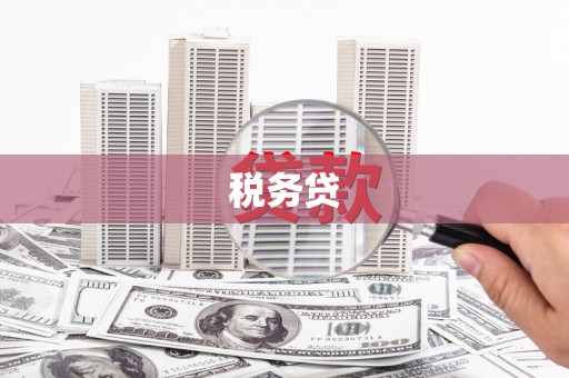 泗县税务贷