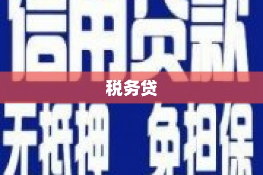 泗县税务贷