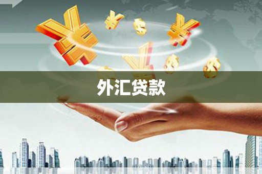 泗县外汇贷款