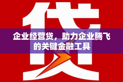 泗县企业经营贷，助力企业腾飞的关键金融工具