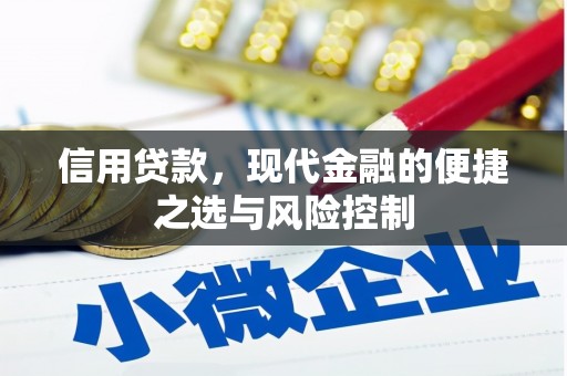 泗县信用贷款，现代金融的便捷之选与风险控制