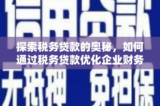 泗县探索税务贷款的奥秘，如何通过税务贷款优化企业财务