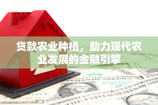 泗县贷款农业种植，助力现代农业发展的金融引擎