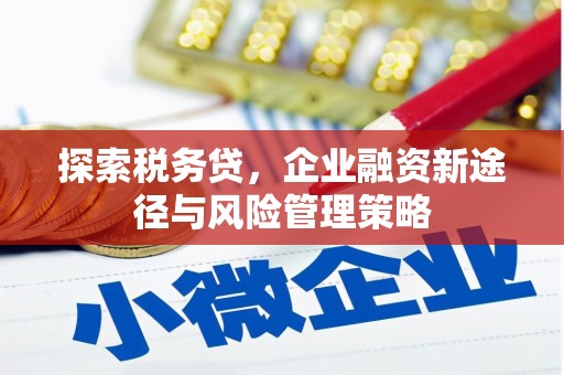 泗县探索税务贷，企业融资新途径与风险管理策略
