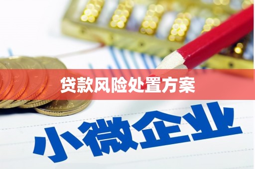 泗县贷款风险处置方案