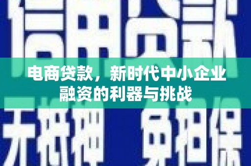 泗县电商贷款，新时代中小企业融资的利器与挑战