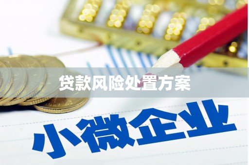 泗县贷款风险处置方案