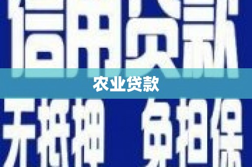 泗县农业贷款