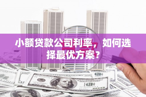 泗县小额贷款公司利率，如何选择最优方案？