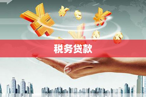 泗县税务贷款