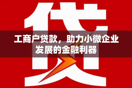 泗县工商户贷款，助力小微企业发展的金融利器