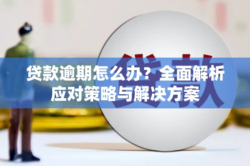 泗县贷款逾期怎么办？全面解析应对策略与解决方案