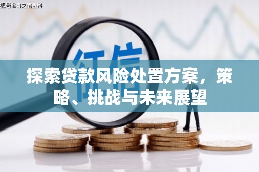 泗县探索贷款风险处置方案，策略、挑战与未来展望