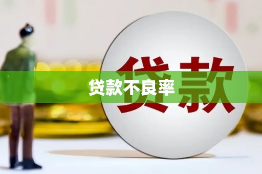泗县贷款不良率