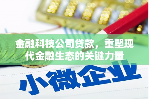 泗县金融科技公司贷款，重塑现代金融生态的关键力量