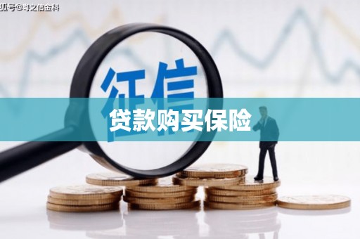 泗县贷款购买保险