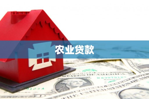 泗县农业贷款