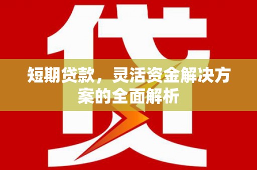 泗县短期贷款，灵活资金解决方案的全面解析