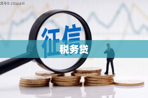 泗县税务贷