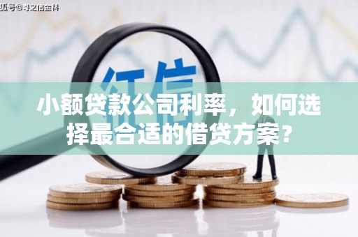 泗县小额贷款公司利率，如何选择最合适的借贷方案？